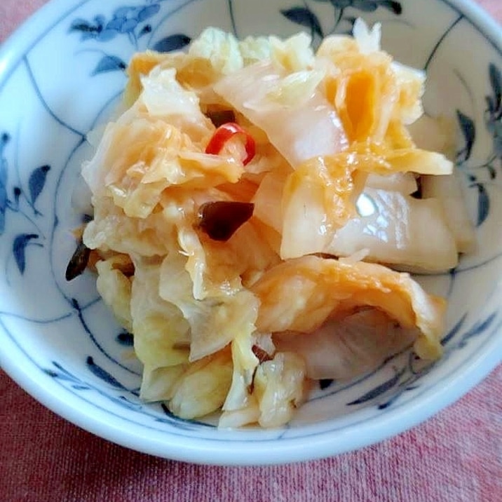発酵白菜